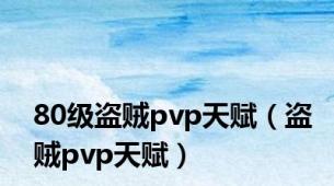 80级盗贼pvp天赋（盗贼pvp天赋）