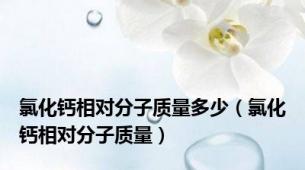 氯化钙相对分子质量多少（氯化钙相对分子质量）