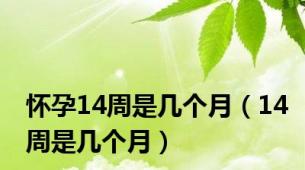 怀孕14周是几个月（14周是几个月）