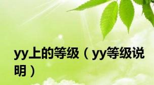 yy上的等级（yy等级说明）