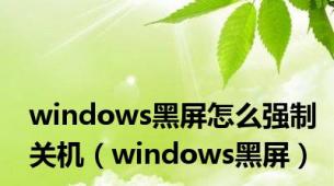 windows黑屏怎么强制关机（windows黑屏）