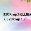 320Kmp3和无损差多少（320kmp3）