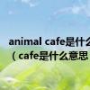 animal cafe是什么意思（cafe是什么意思）