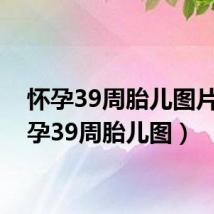 怀孕39周胎儿图片（怀孕39周胎儿图）