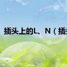 插头上的L、N（插头）