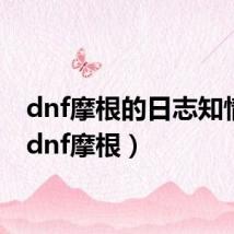 dnf摩根的日志知情者（dnf摩根）