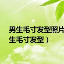 男生毛寸发型照片（男生毛寸发型）