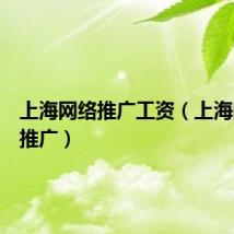 上海网络推广工资（上海的网络推广）