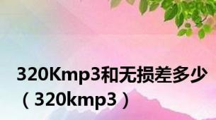 320Kmp3和无损差多少（320kmp3）