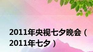 2011年央视七夕晚会（2011年七夕）