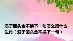 浪子回头金不换下一句怎么接什么生肖（浪子回头金不换下一句）