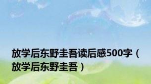 放学后东野圭吾读后感500字（放学后东野圭吾）