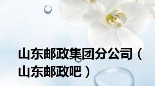 山东邮政集团分公司（山东邮政吧）