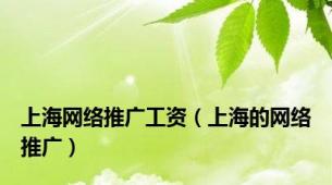 上海网络推广工资（上海的网络推广）