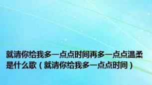 就请你给我多一点点时间再多一点点温柔是什么歌（就请你给我多一点点时间）