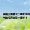 电脑没声音没小喇叭怎么回事（电脑没声音没小喇叭）