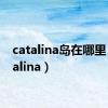 catalina岛在哪里（catalina）