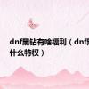 dnf黑钻有啥福利（dnf黑钻有什么特权）