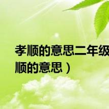 孝顺的意思二年级（孝顺的意思）