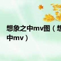 想象之中mv图（想象之中mv）