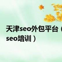 天津seo外包平台（天津seo培训）