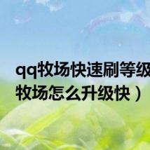 qq牧场快速刷等级（qq牧场怎么升级快）