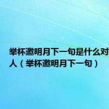 举杯邀明月下一句是什么对影成三人（举杯邀明月下一句）