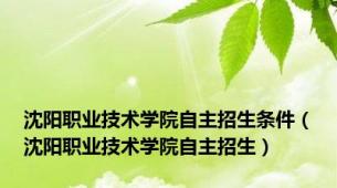 沈阳职业技术学院自主招生条件（沈阳职业技术学院自主招生）