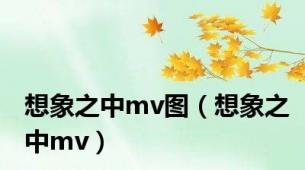 想象之中mv图（想象之中mv）