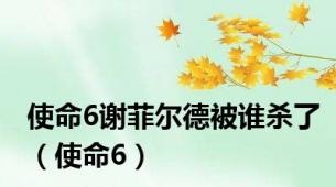 使命6谢菲尔德被谁杀了（使命6）