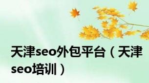 天津seo外包平台（天津seo培训）