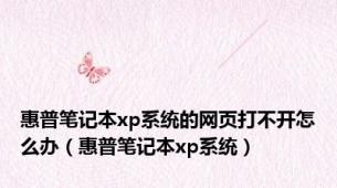 惠普笔记本xp系统的网页打不开怎么办（惠普笔记本xp系统）