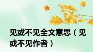 见或不见全文意思（见或不见作者）