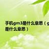 手机gm3是什么意思（g3手机是什么意思）