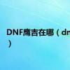 DNF鹰吉在哪（dnf鹰吉）