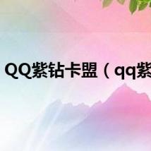 QQ紫钻卡盟（qq紫钻）