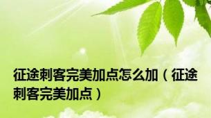 征途刺客完美加点怎么加（征途刺客完美加点）