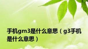 手机gm3是什么意思（g3手机是什么意思）