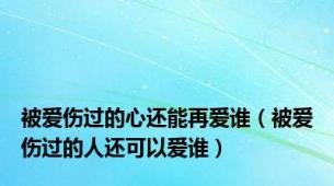 被爱伤过的心还能再爱谁（被爱伤过的人还可以爱谁）