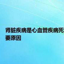 肾脏疾病是心血管疾病死亡的主要原因