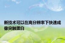 新技术可以在高分辨率下快速成像突触蛋白