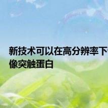 新技术可以在高分辨率下快速成像突触蛋白