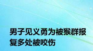 男子见义勇为被猴群报复多处被咬伤