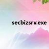 secbizsrv.exe