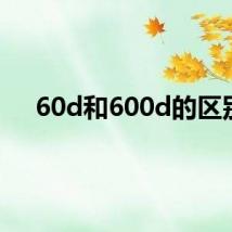 60d和600d的区别