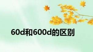 60d和600d的区别