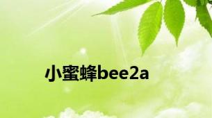 小蜜蜂bee2a