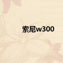 索尼w300