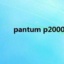 pantum p2000