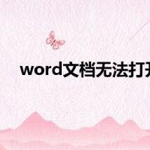 word文档无法打开